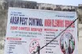 Ansh Pest Control
